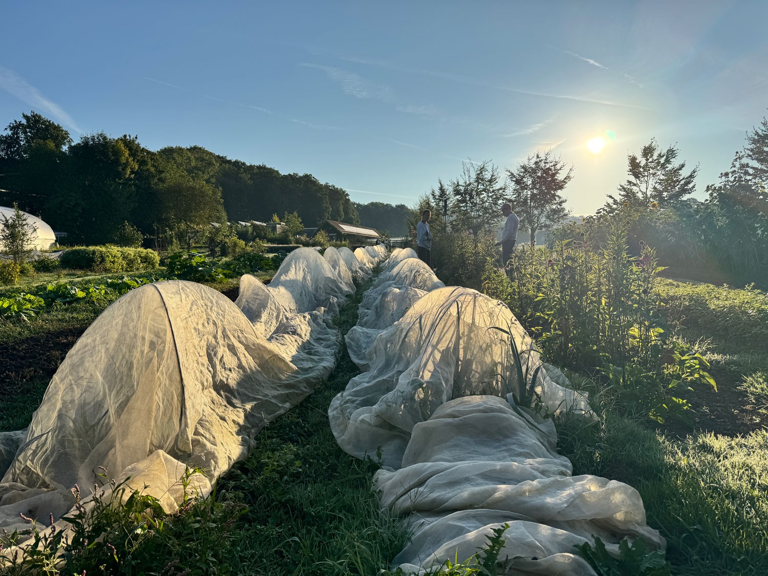 Gärtnerei der Stöckenweid