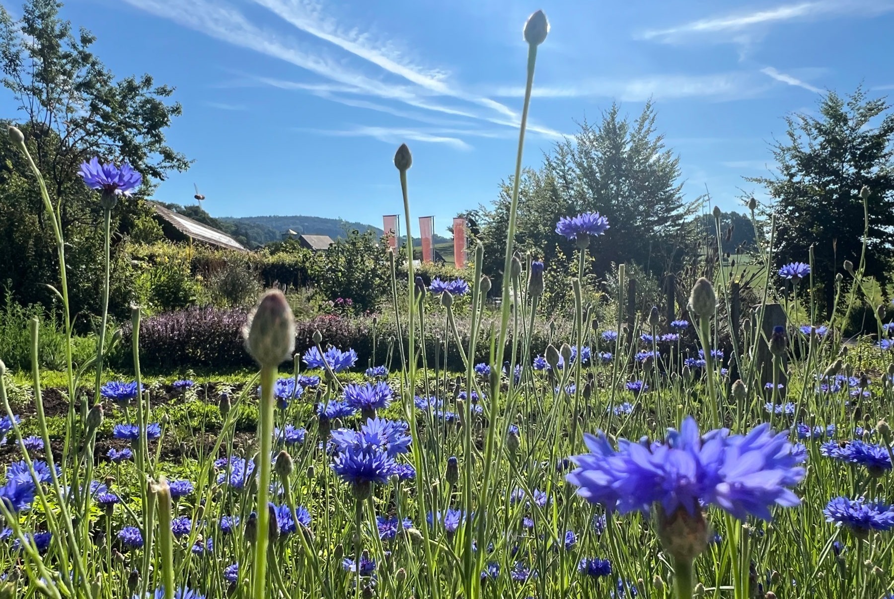 StöckiRat - das interne Parlament
